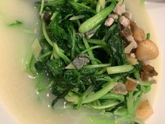 上湯莧菜-君庭中餐厅(友谊宾馆店)