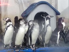 -太平洋海底世界