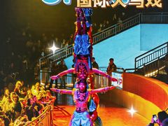 -灵玲国际马戏城