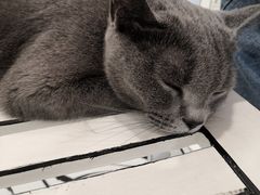 -白夜2D咖啡馆