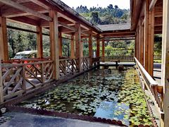 -姑婆山旅游区