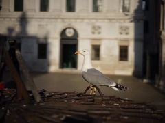 -圣马尔谷圣殿宗主教座堂