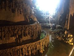 -绿光森林餐厅
