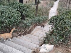 -贮水山儿童公园