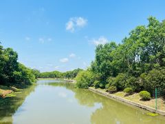 -上海海湾国家森林公园