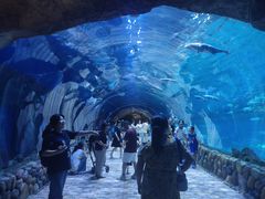 -华夏文旅西安度假区