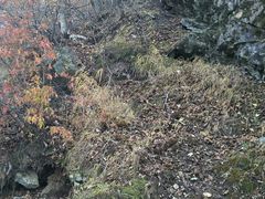 -野三坡百草畔景区