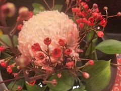 -蘇锦宴·淮扬菜烤鸭·小院(三元桥霄云路店)