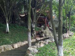 -富乐山