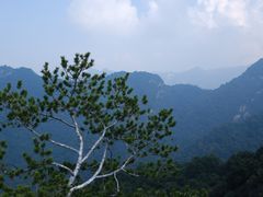 -少华山国家森林公园