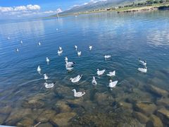 -青海湖二郎剑景区