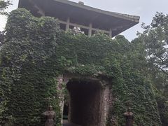 -原山国家森林公园