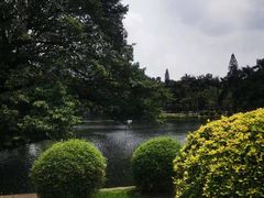-晓港公园