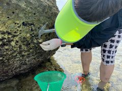 -三亚鹿回头高尔夫球会-停车场