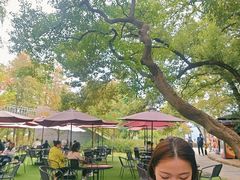 -东湖落雁景区