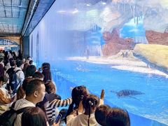 -海合安成都极地海洋公园