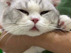 -瑞鹏瑞爱宠物医院·全科·猫科·血液透析中心(龙头寺店)