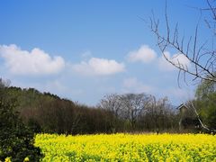 -黄陂区野村谷景区