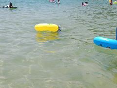 -西涌国际滨海旅游区