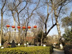 -莲湖公园