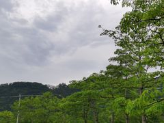 -龙江公园