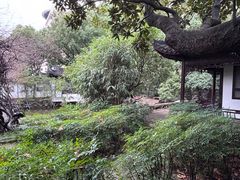 -华山医院-食堂