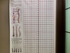 -修申骨雕小颜脊柱骨盆管理产后修复