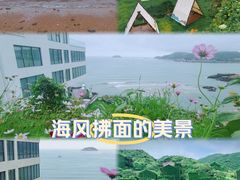 -枸杞岛