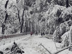 -岳麓山风景名胜区