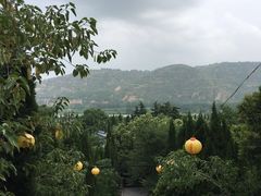 -函谷关历史文化旅游区