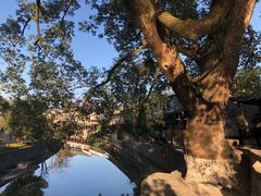 -楠溪江风景名胜区