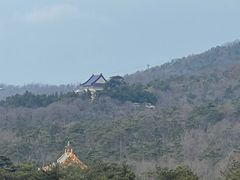 -灵谷景区