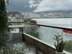 -野菌皇海景野生菌火锅(滨海大道店)