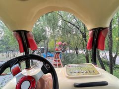 -朝阳公园游乐园