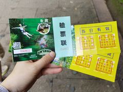 -西双版纳原始森林公园