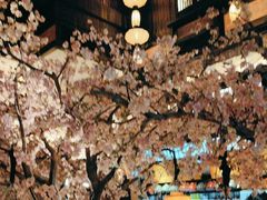 -桂满隴·站立的杭州(无锡八佰伴店)