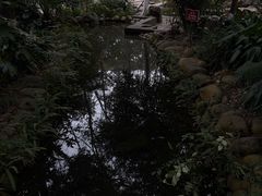 -成都市活水公园
