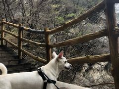 -芭比堂动物医院·犬猫全科·异宠专科(雁塔分院)