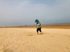 -日照海滨国家森林公园