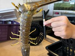-ZF Seafood Restaurant 卓峰海鲜餐