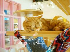 -喵匠猫主题咖啡(凯德和平广场店)