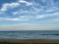 -日照海滨国家森林公园