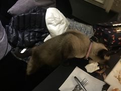 -吱咖啡西式简餐