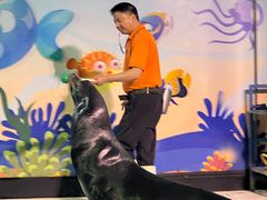 -太平洋海底世界