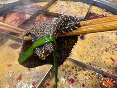 -化龙桥九宫格火锅(清水河店)