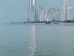 -武汉关码头(轮渡站)