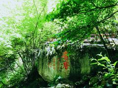 -青峰峡国家森林公园