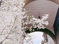 -武汉大学-樱园