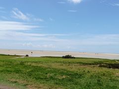 -北海金海湾红树林生态旅游区