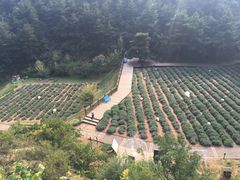 -云峰山自然风景区